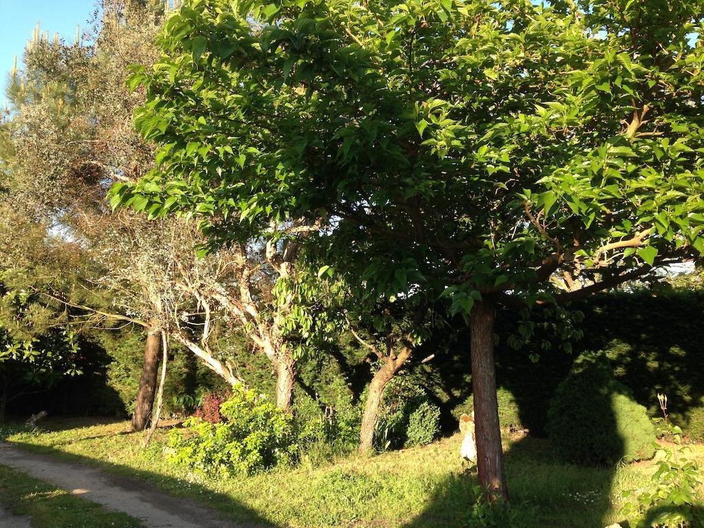 Apartment Wisteria